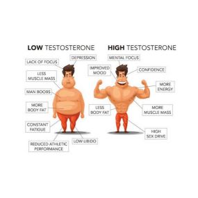 Low Testosterone