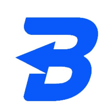 Logo od BlueTeam