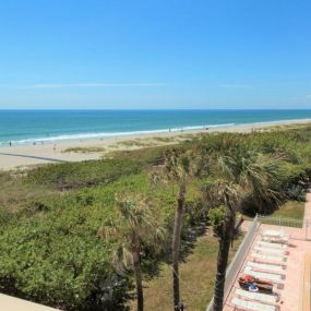 Bild von Happy Palm Stays (Stay In Cocoa Beach)