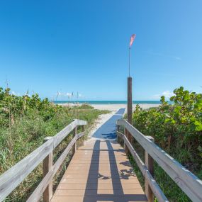 Bild von Happy Palm Stays (Stay In Cocoa Beach)