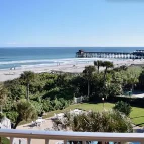 Bild von Happy Palm Stays (Stay In Cocoa Beach)