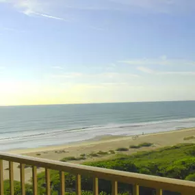 Bild von Happy Palm Stays (Stay In Cocoa Beach)