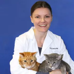 Dr. Asia Campfield DVM Co-Owner of Caring Hands Animal Hospital of Clarendon