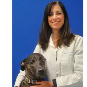 Michelle Vitulli, DVM Founder of Caring Hands Animal Hospital in Clarendon