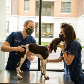 We handle each and every patient with the understanding that comes from years of veterinary experience and the gentleness that comes from a deep admiration for animals.