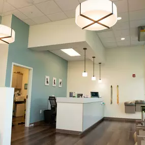 Harvester Veterinary Hospital's beautiful check-in and waiting area filled with lots of natural light and ample seating.