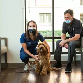 Each and every animal and owner is treated with the utmost respect from our first interaction to the moment you and your pet leave our facility. It’s what makes Harvester Veterinary Hospital one of the most trusted vets in Chicago and the surrounding area.