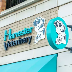 Welcome to Harvester Veterinary Hospital of Burr Ridge!