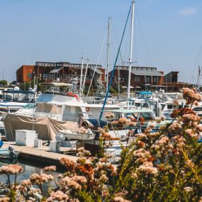 Bild von Carefree Boat Club of Southern California