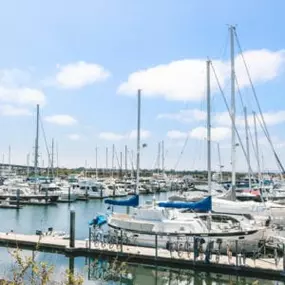 Bild von Carefree Boat Club of Southern California