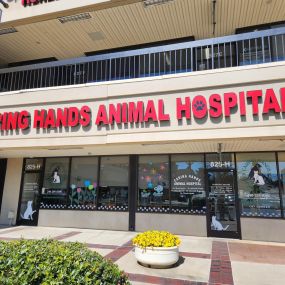 Welcome to Caring Hands Animal Hospital - Rockville