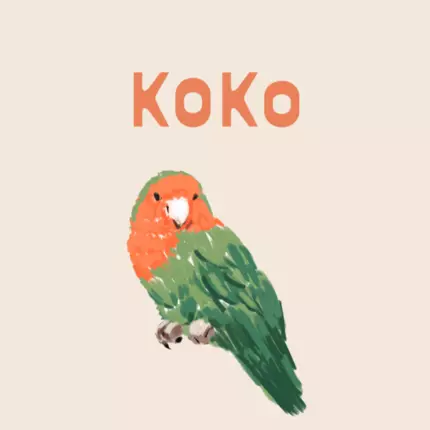 Logo od Koko