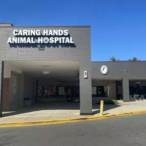 Welcome to Caring Hands Animal Hospital - Alexandria