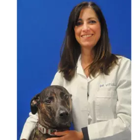 Dr. Michelle Vitulli_ DVM Founder of Caring Hands Animal Hospitalin in Alexandria VA