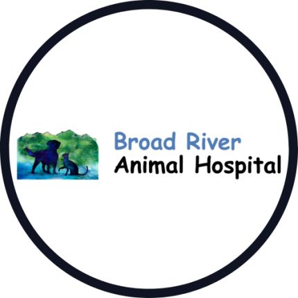 Logo van Broad River Animal Hospital