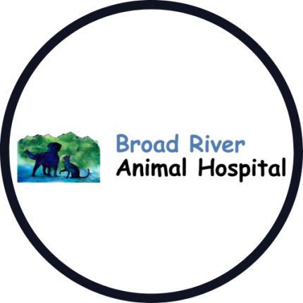 Logo da Broad River Animal Hospital