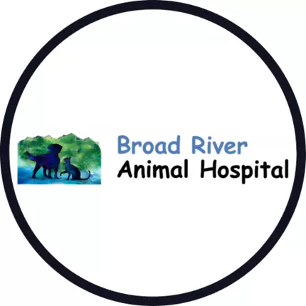 Logo da Broad River Animal Hospital