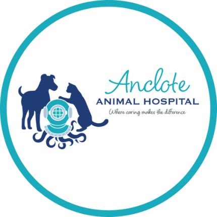 Logo da Anclote Animal Hospital