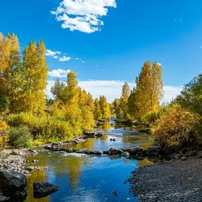 Bild von Elevated Properties - Steamboat Springs Vacation Rentals