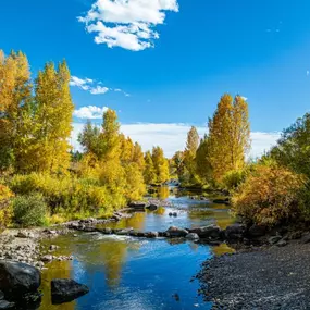 Bild von Elevated Properties - Steamboat Springs Vacation Rentals