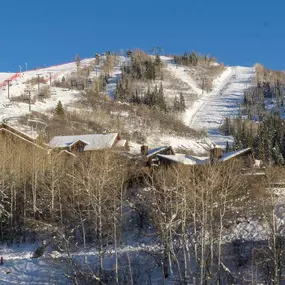 Bild von Elevated Properties - Steamboat Springs Vacation Rentals