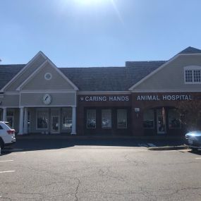 Welcome to Caring Hands Animal Hospital - Centreville