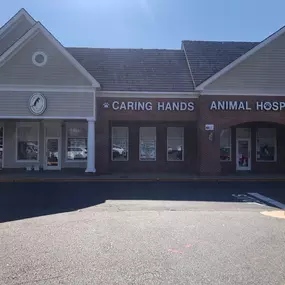 Welcome to Caring Hands Animal Hospital - Centreville