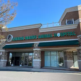 Welcome to Caring Hands Animal Hospital - Ashburn