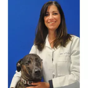 Dr. Michelle Vitulli_ DVM Founder of Caring Hands Animal Hospital Ashburn