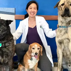 Dr. Alissa Trang_ associate veterinarian  Caring Hands Animal Hospital - Ashburn
