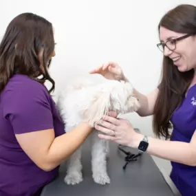 Dr. Rachel Jeffrey examines a patient.