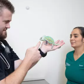 Dr. David Jeffrey examines a patient.