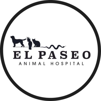 Logo da El Paseo Animal Hospital