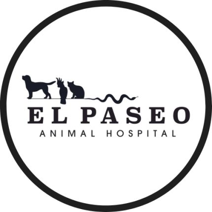 Logo from El Paseo Animal Hospital