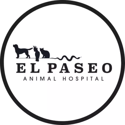 Logo da El Paseo Animal Hospital