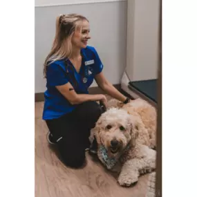 Vet with Happy Dog In caring Hand in Caring Hands Animal Hospital in Merrified VAld