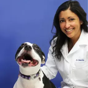 Dr. Garcia Associate veterinarian  Caring Hands Animal Hospital Arlington