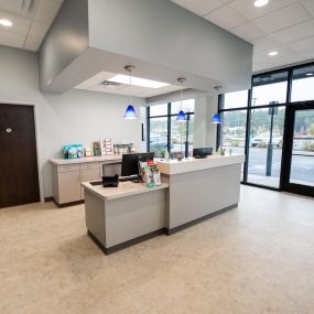 Lots of beautiful, natural light flood our waiting room!