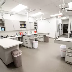 Here's a look into our treatment space. This is where we can tend to all of our incredible patients.