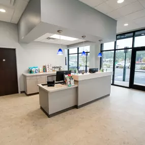 Lots of beautiful, natural light flood our waiting room!