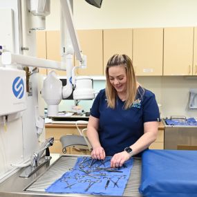 A North Buffalo Animal Hospital team member organizes surgery tools