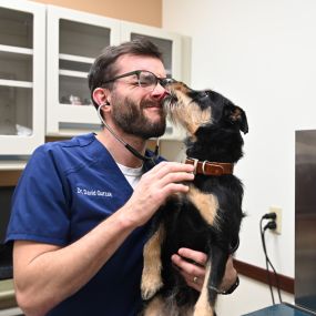 David Gurzak examines a North Buffalo Animal Hospital patient