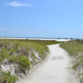 Bild von Rent Siesta Key