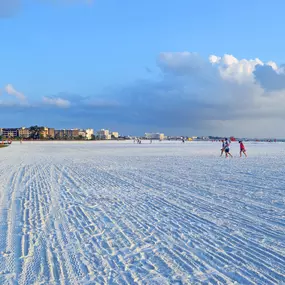 Bild von Rent Siesta Key