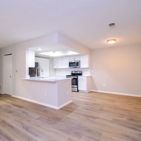 Kitchen and Living Area