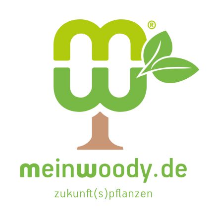 Logo fra Evolutio UG - www.meinwoody.de
