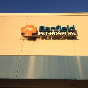 Banfield Pet Hospital® - Braintree