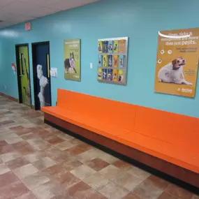 Bild von Banfield Pet Hospital