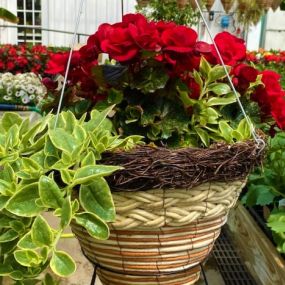 Bild von J & K's Four Seasons Floral and Greenhouse