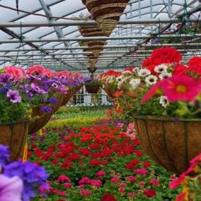 Bild von J & K's Four Seasons Floral and Greenhouse